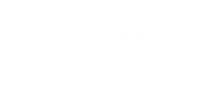 Lehigh Valley Oral Surgery & Implant Center logo